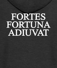Fortes Fortuna Adiuvat LED Neon Sign Wall Decor Wall Sign - Etsy